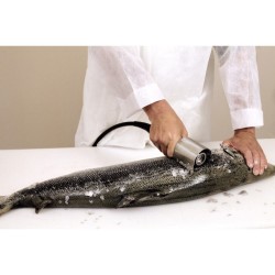 Απολεπιστές Ψαριών