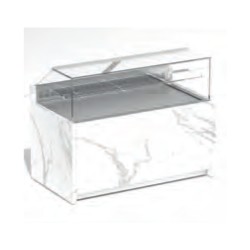 Βιτρίνα Συντήρησης VZ-10R-PR 110x80x120cm Inox 450W ARTSTEEL